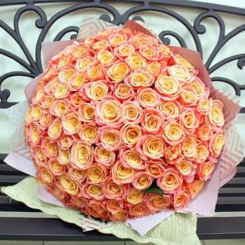 Букет Оранжевые розы Эквадор 101 шт (50 см) №  214992